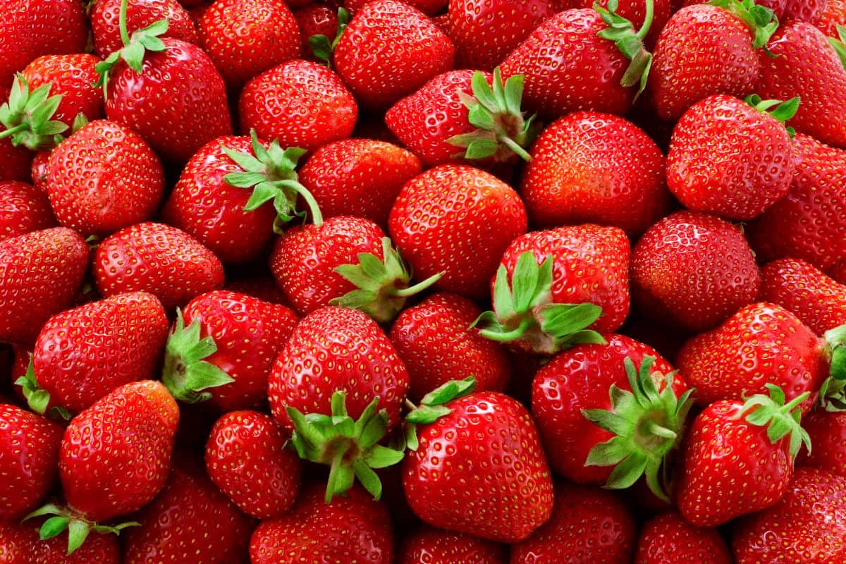 La Fête de la Fraise 2024 à Montvert les Hauts