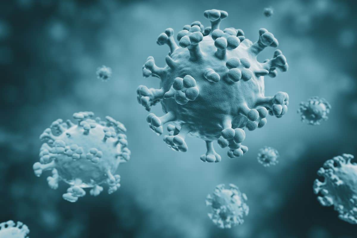 Épidémie de grippe à La Réunion Prolongation de la campagne de vaccination jusqu’au 30 novembre