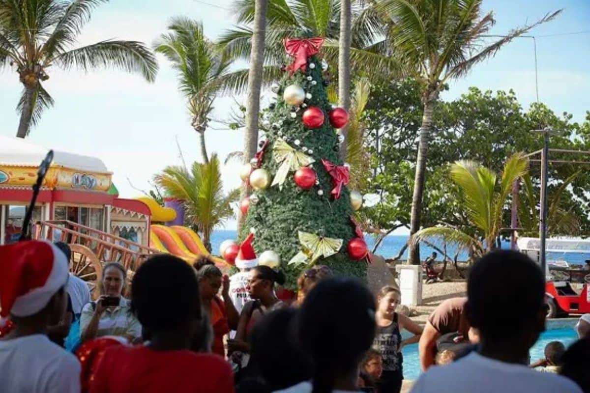 Noël approche à grands pas à La Réunion.