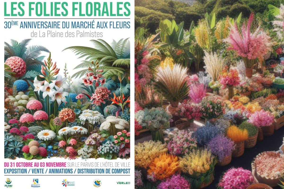 folies florales