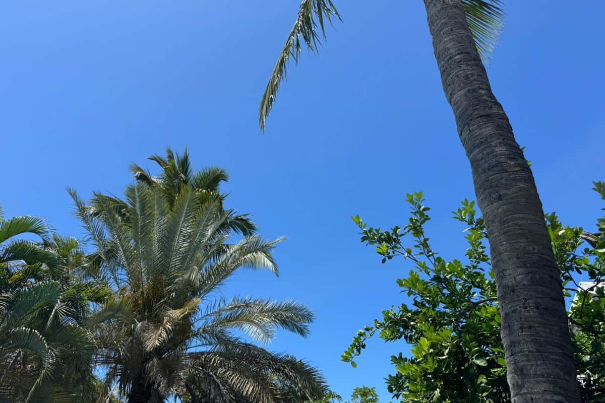 Matinée ensoleillée sur la plupart des régions de La Réunion