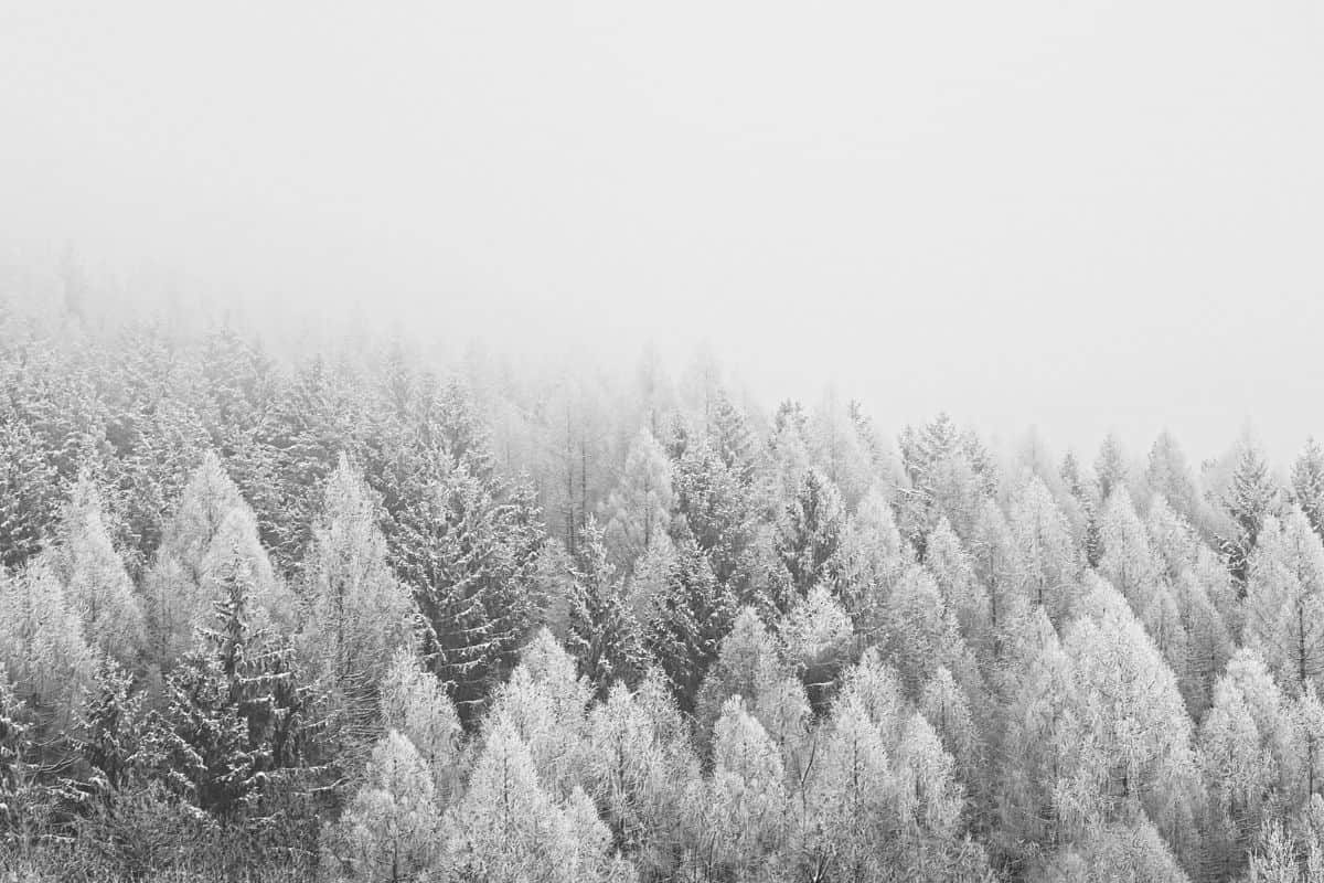 Retour de la neige en France cette semaine