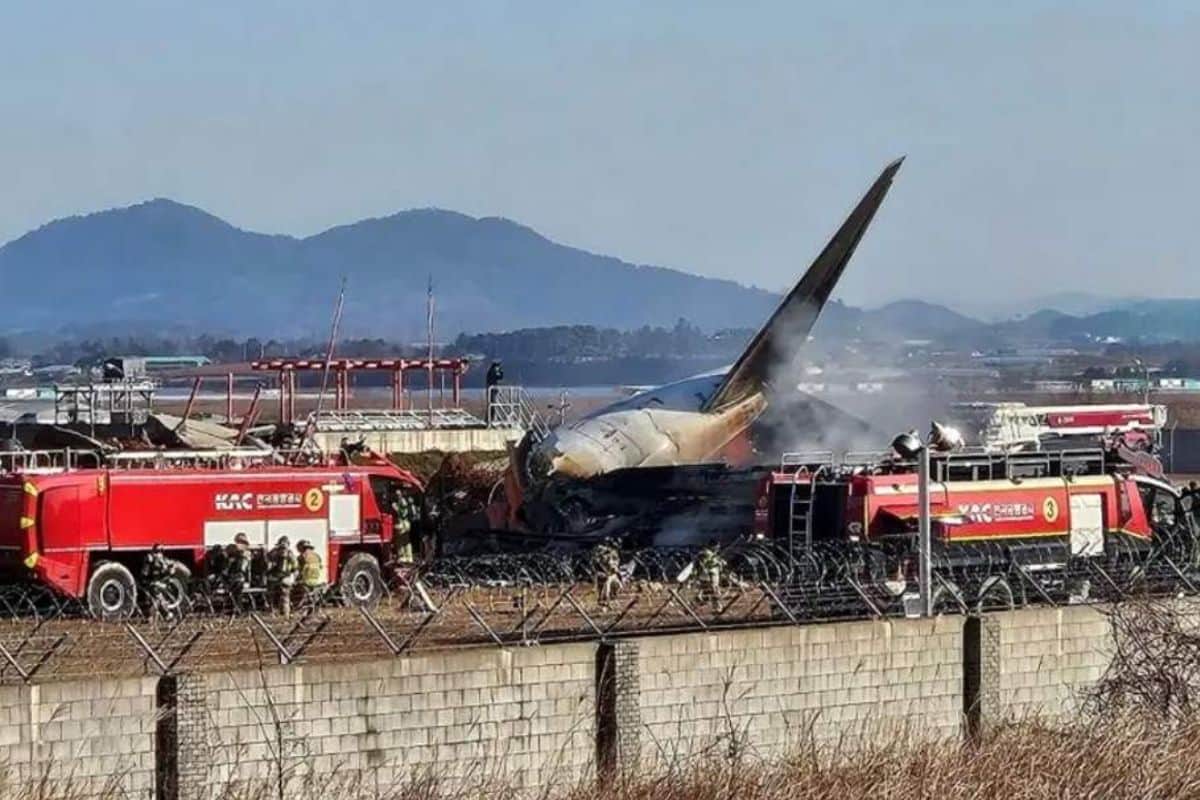Crash aérien en Corée du Sud une collision avec des oiseaux cause 167 morts