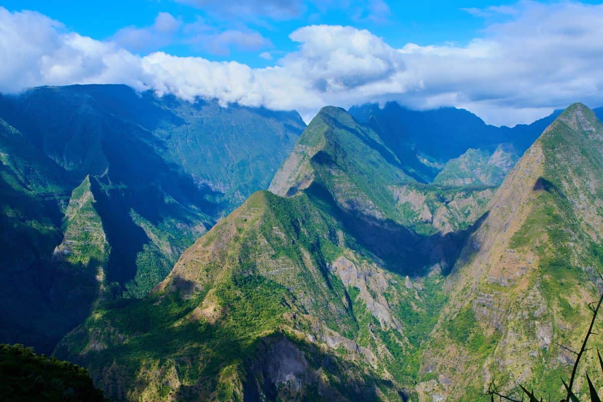 Protéger La Réunion des espèces exotiques invasives pendant les vacances