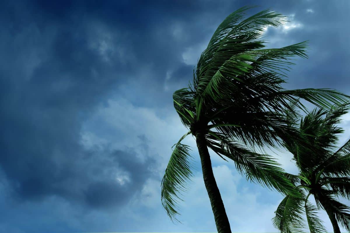Risque de formation d'une tempête tropicale dans l'océan Indien