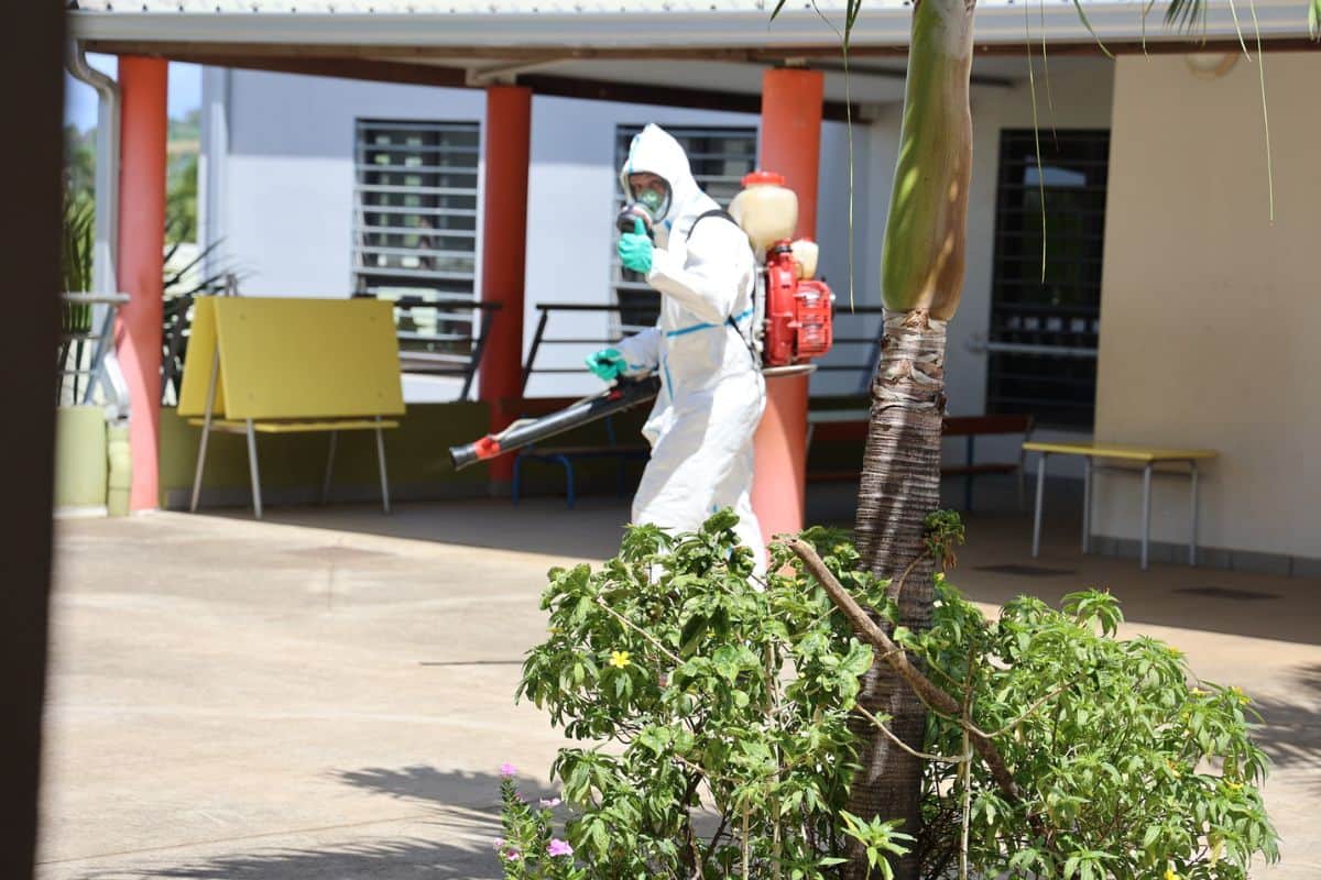 chikungunya