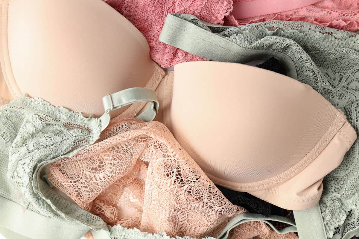 Ils se font voler leurs sous-vêtements en pleine intimité à la forêt de L’Étang-Salé