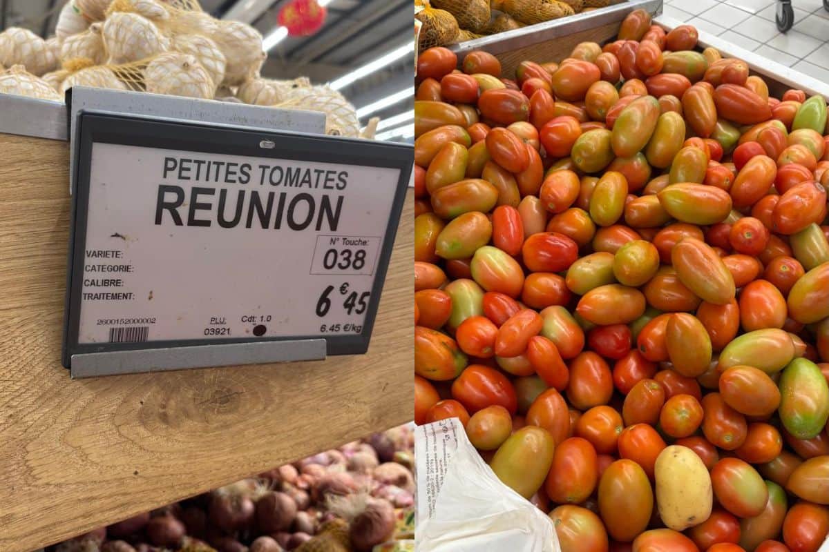 Le prix des petites tomates en forte hausse dans plusieurs enseignes de l’île