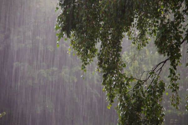 Vigilance jaune pour fortes pluies et orages sur plusieurs régions de l'île de 11h à 19h