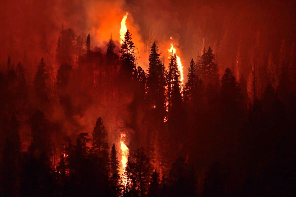 Le Japon touché par des feux de forêts records provoquant des morts et des évacuations massives