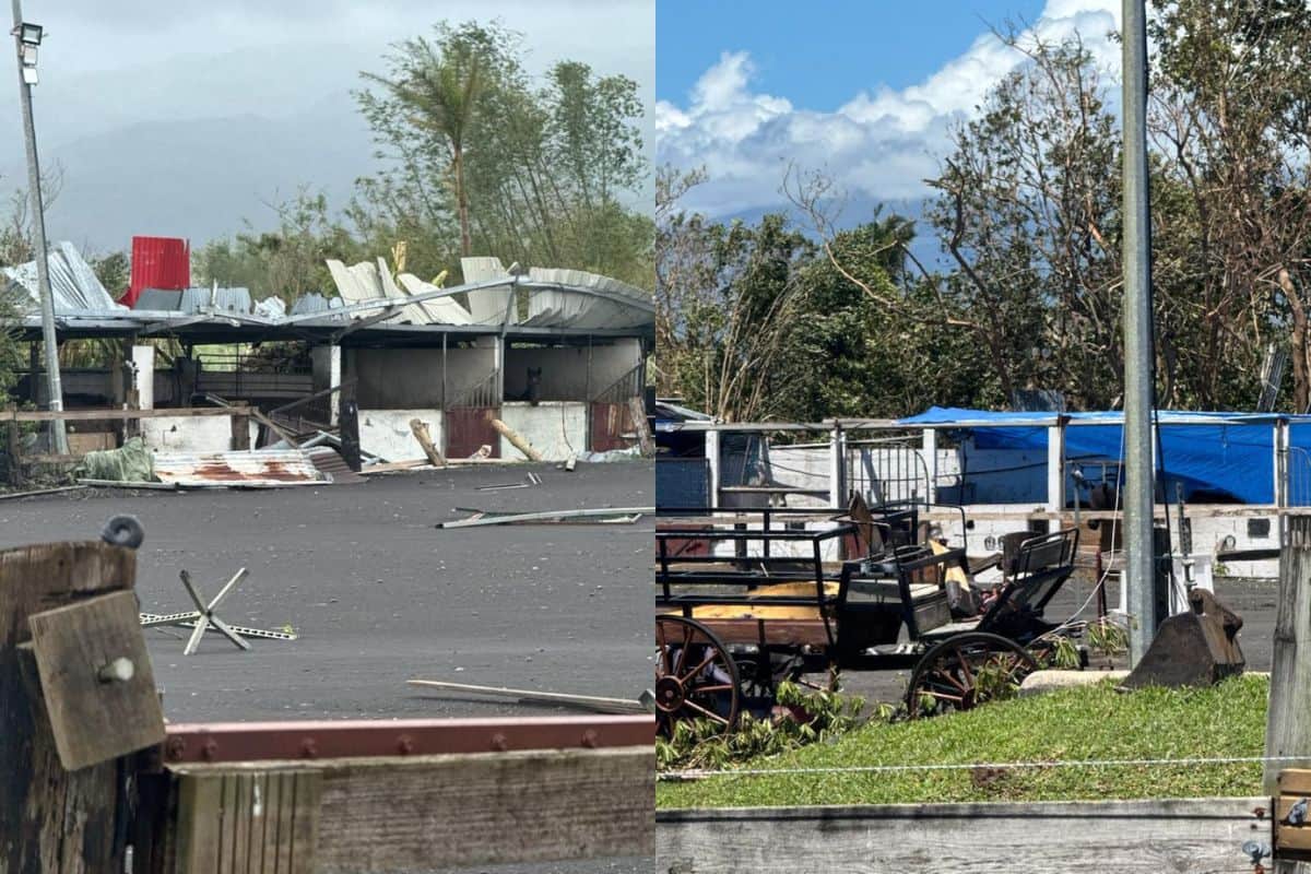Le centre équestre de Judex Thermea gravement touché par le cyclone Garance