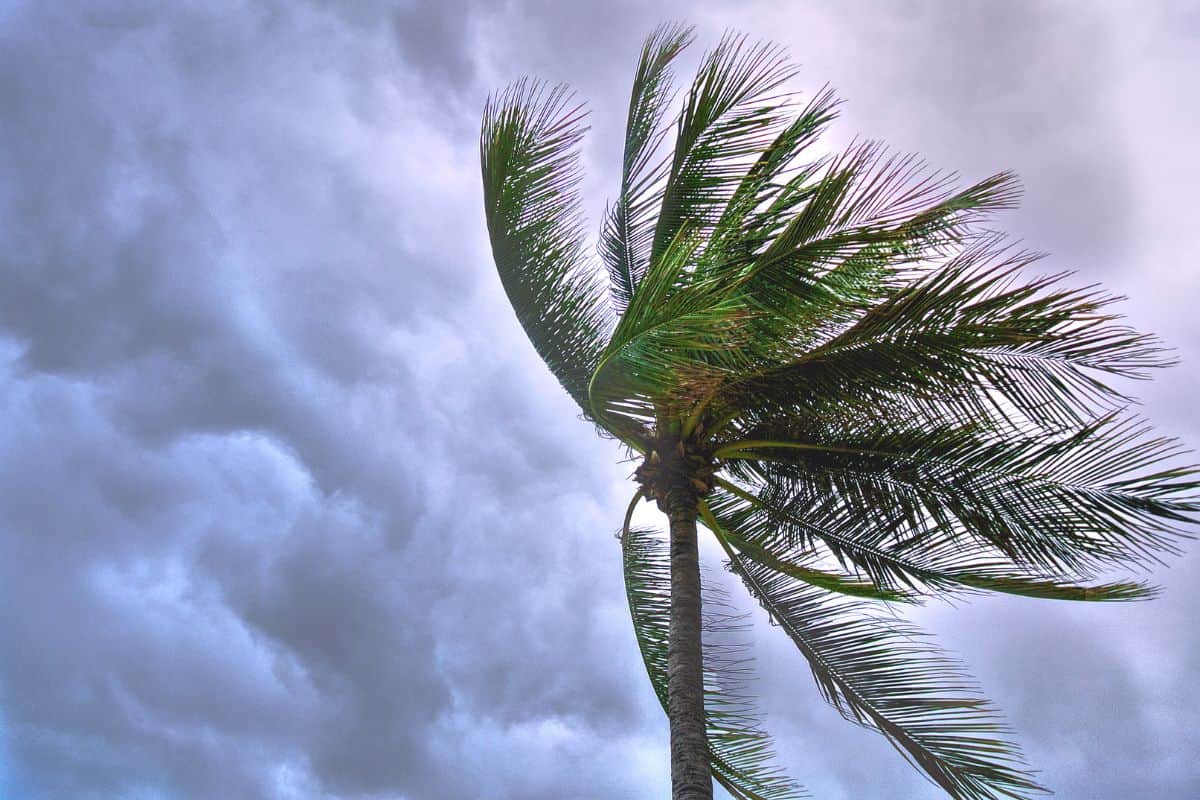 Le cyclone Garance a causé jusqu'à 200 millions d'euros de dégâts à La Réunion