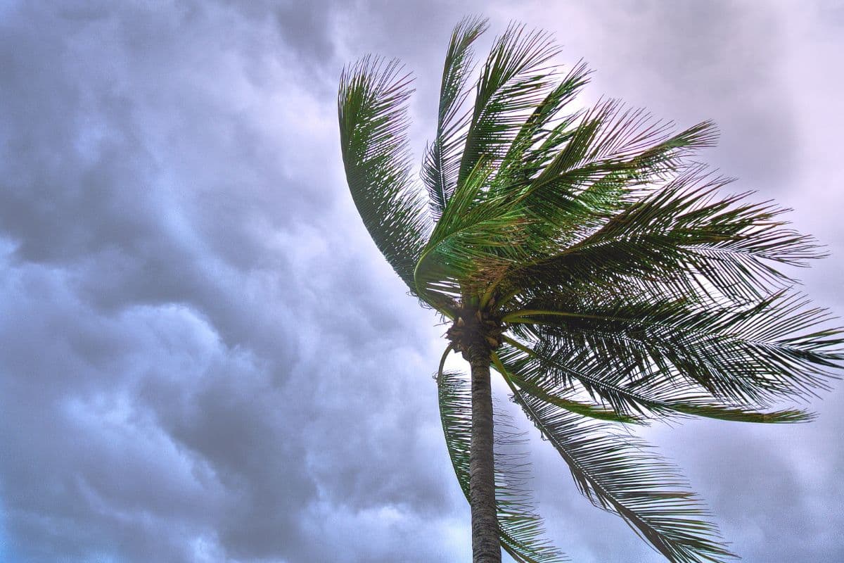 Le cyclone Garance a causé jusqu'à 200 millions d'euros de dégâts à La Réunion