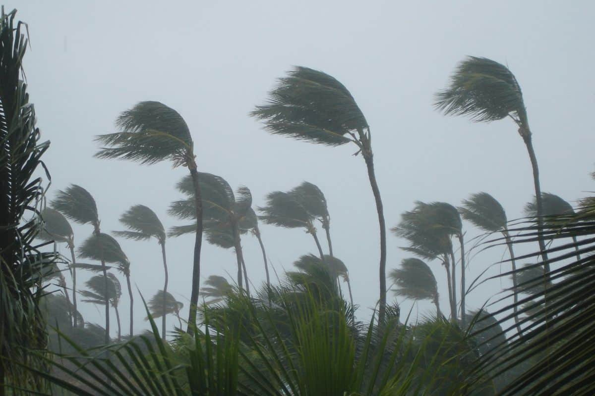 Le cyclone Garance frappe La Réunion avec des rafales records jamais observées depuis les cyclones Firinga et Jenny