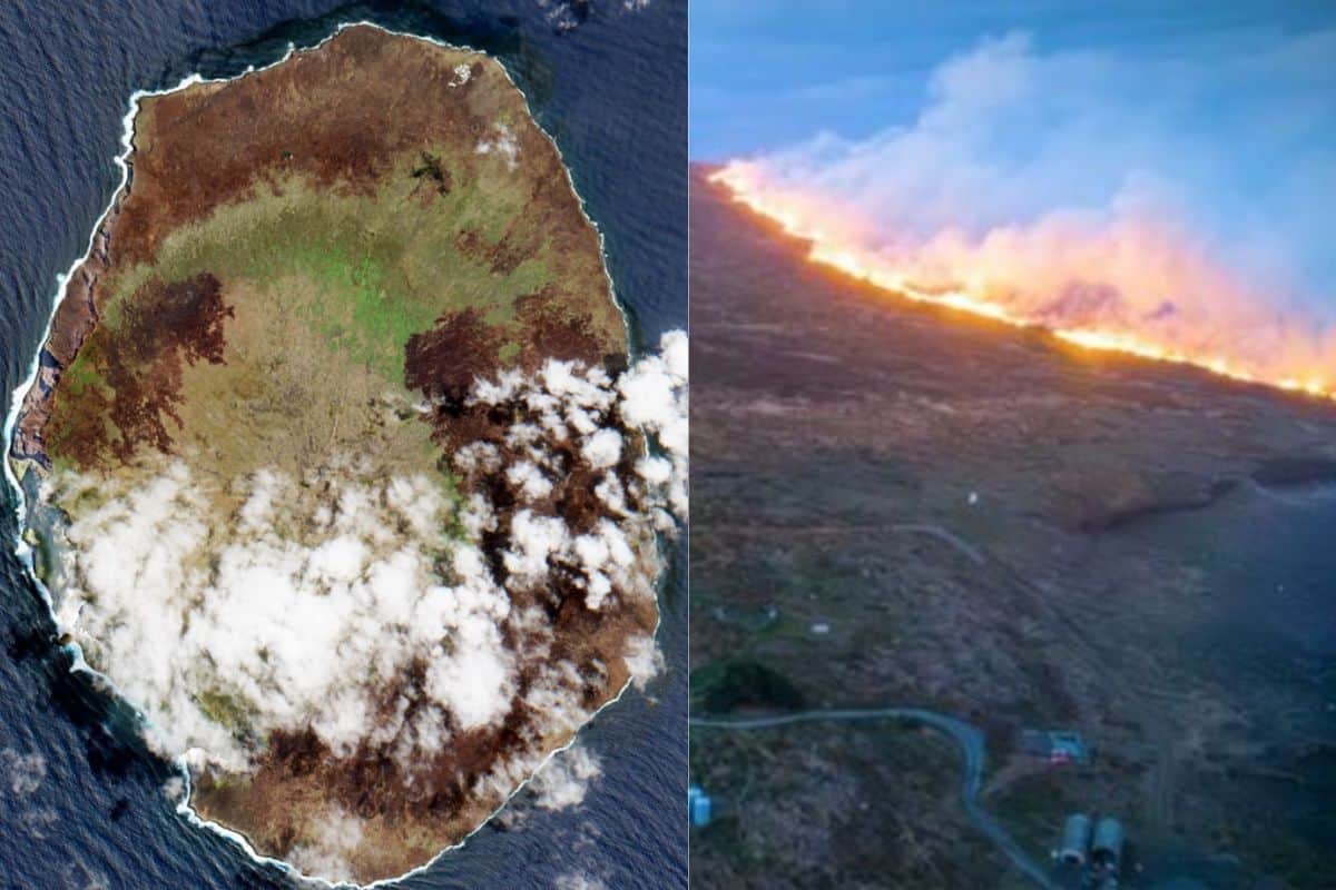 Une île française de l'océan Indien dévastée par un incendie hors de contrôle