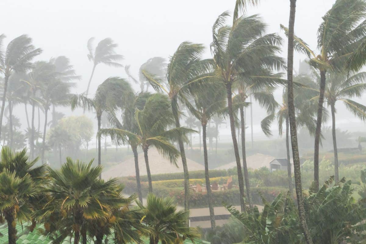 Vigilance jaune pour orages et fortes pluies dans le nord et l’est de La Réunion cet après-midi