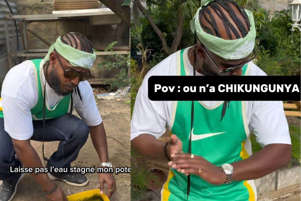 harendra chikungunya