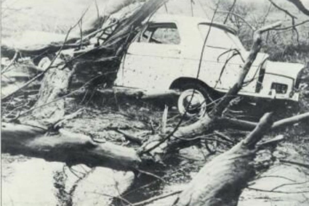 Il y a 54 ans, le cyclone Jenny frappait La Réunion retour sur un drame météorologique