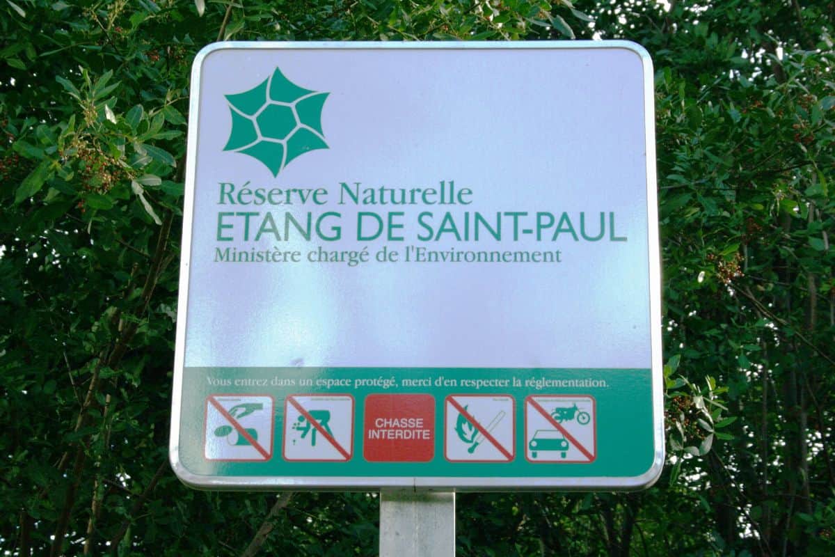 Réserve de l’Étang de Saint-Paul un site naturel protégé… mais une gestion encore fragile, alerte la Chambre régionale des comptesRéserve de l’Étang de Saint-Paul un site naturel protégé… mais u