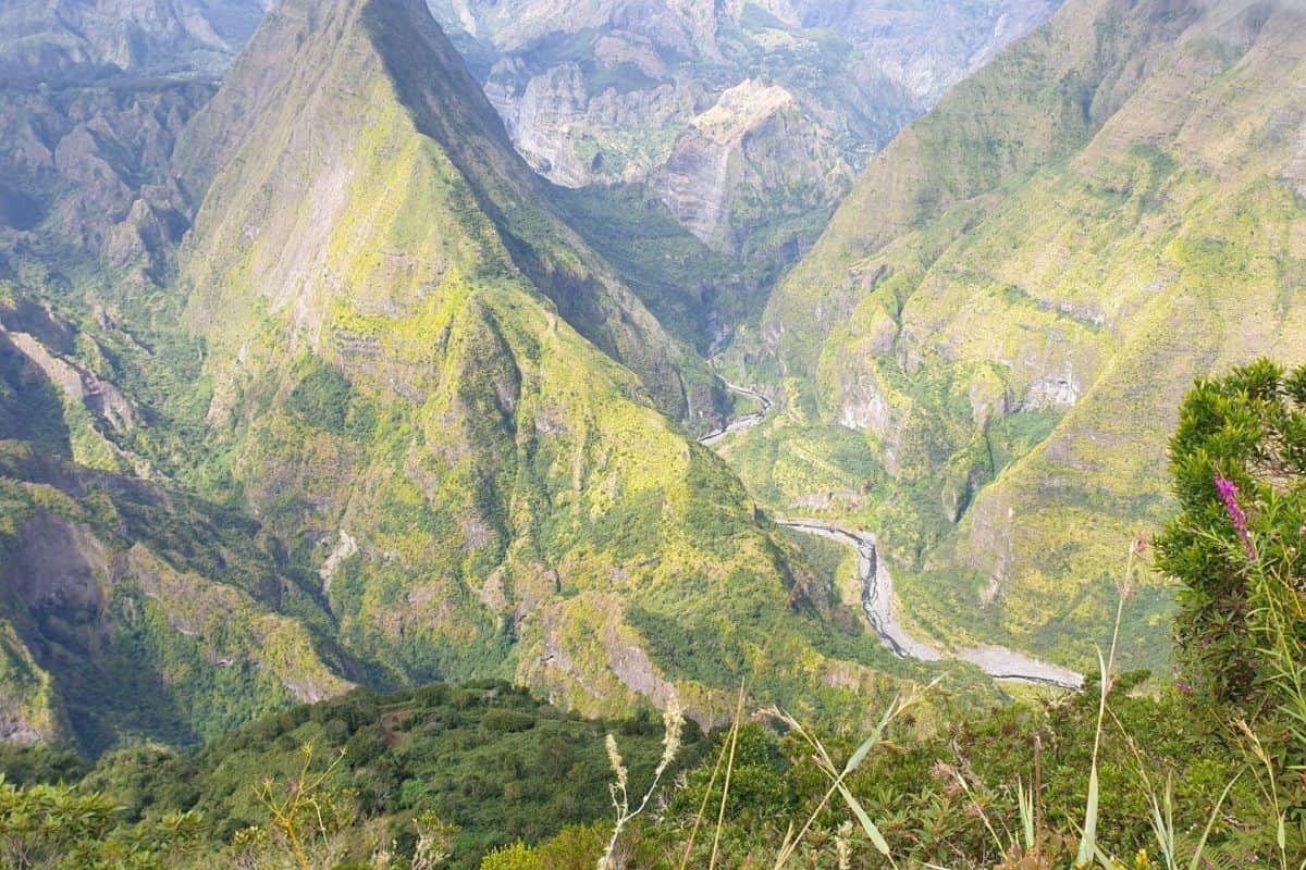 Sentier Dos d’Âne – Deux Bras une fermeture temporaire décidée par l’ONF jusqu’au 6 février 2026