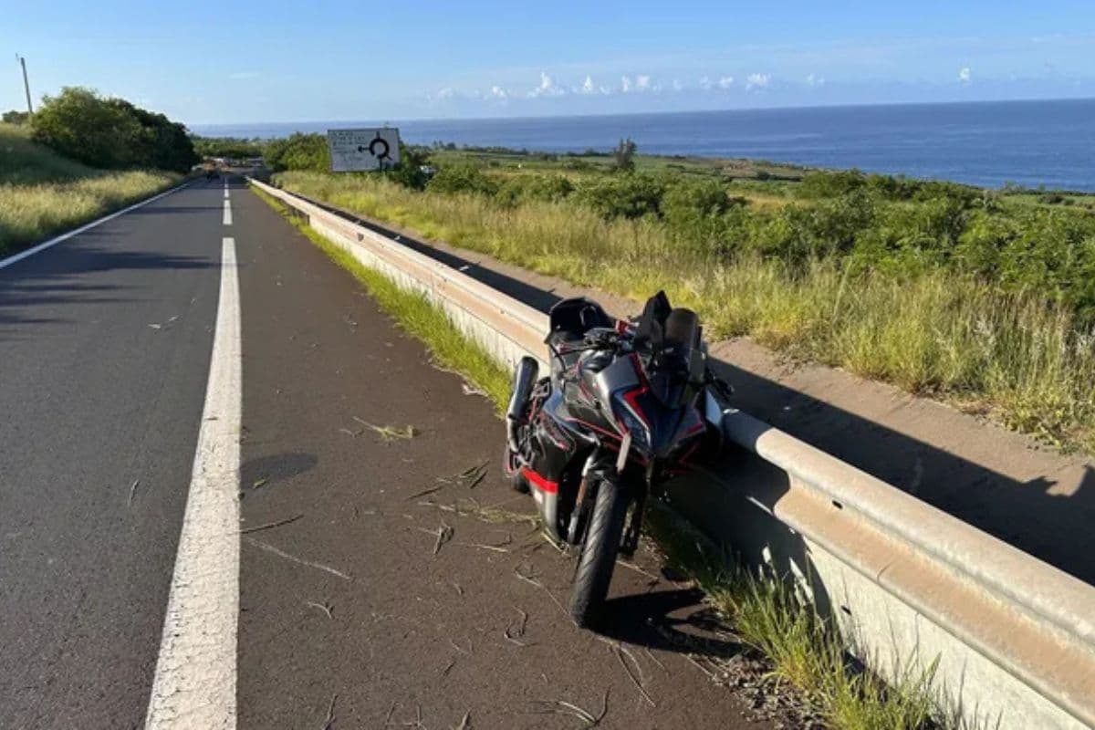 Un chien errant provoque la chute d’un motard sur la route des Tamarins à Saint-Leu