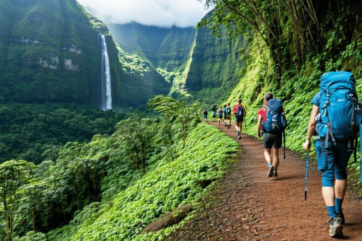 La Réunion, environnement, rivières, forêts, biodiversité, ONF, Parc national