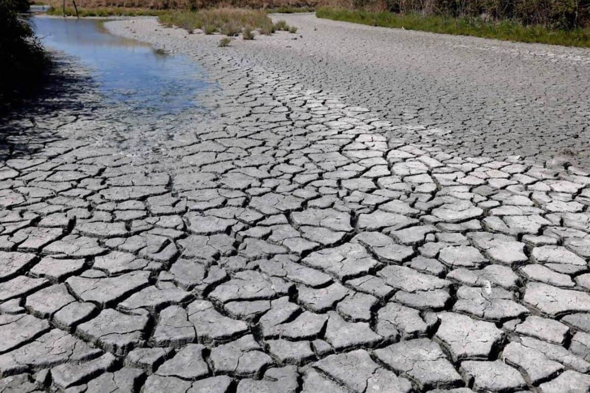 La Réunion, environnement, sécheresse, eau, préfecture, écologie, société