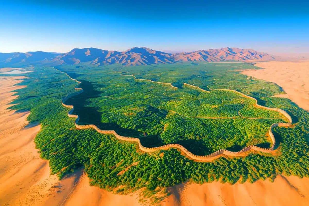 chine-la-grande-muraille-verte-un-projet-colossal-contre-lavancee-du-desert