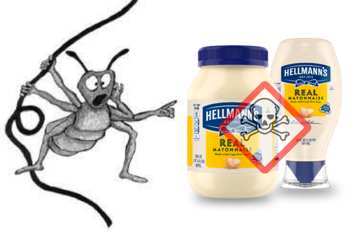 La Mayonnaise, un remède insolite contre les poux : efficace ou simple